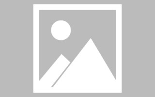 乐陵栾城区网站制作推荐（栾城信息公开平台）